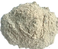 High Quality Protein (min 82%) Vital Wheat Gluten Flour For Baking Industry